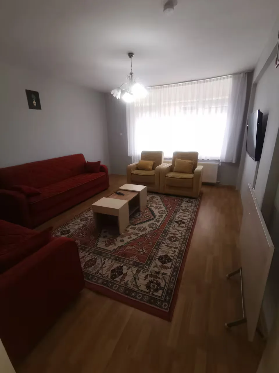 Panorama suit detayı
